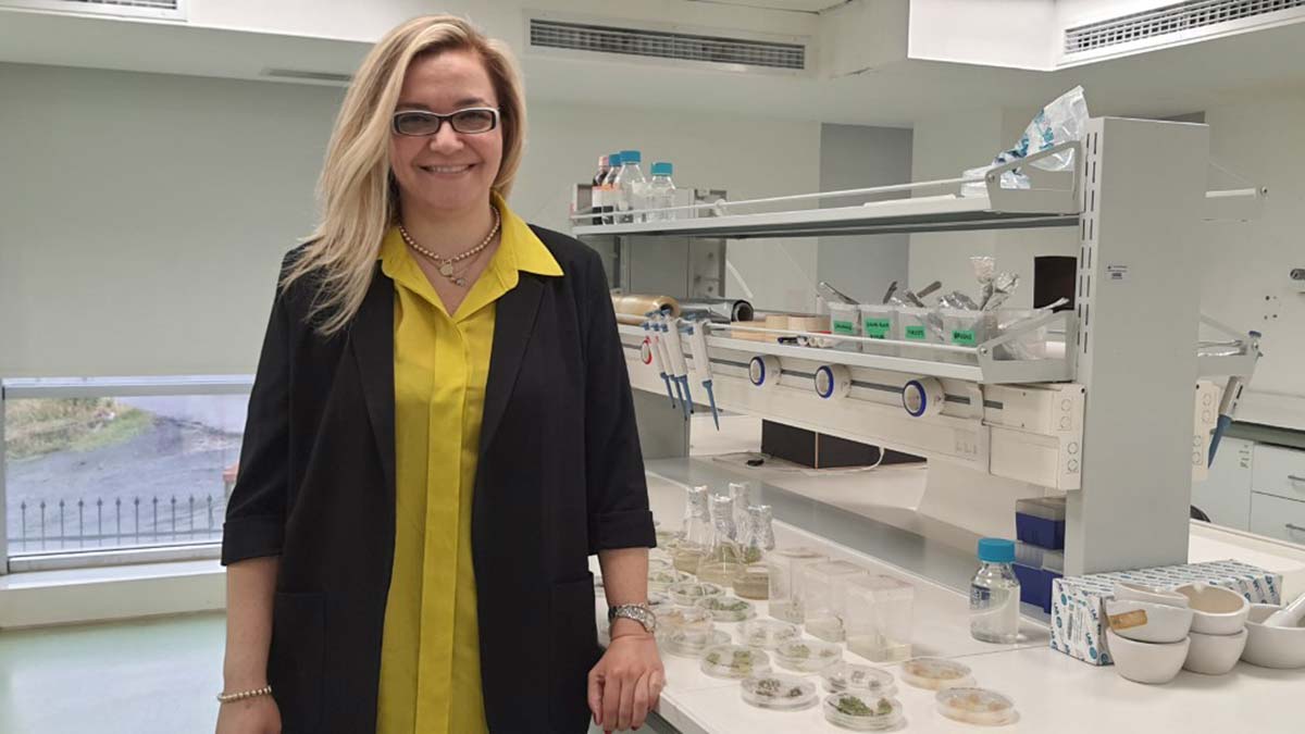 "Yanlış su kullanımıyla azalan su kaynakları, topraksız tarımda daha verimli kullanılmaktadır"