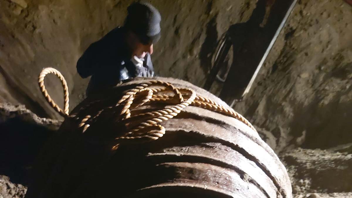 Tosya ilçesinde pitos bulunduTosya ilçesinde pitos bulundu