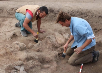 Tunç Çağı höyüğünde anıtsal yapı tespit edildi
