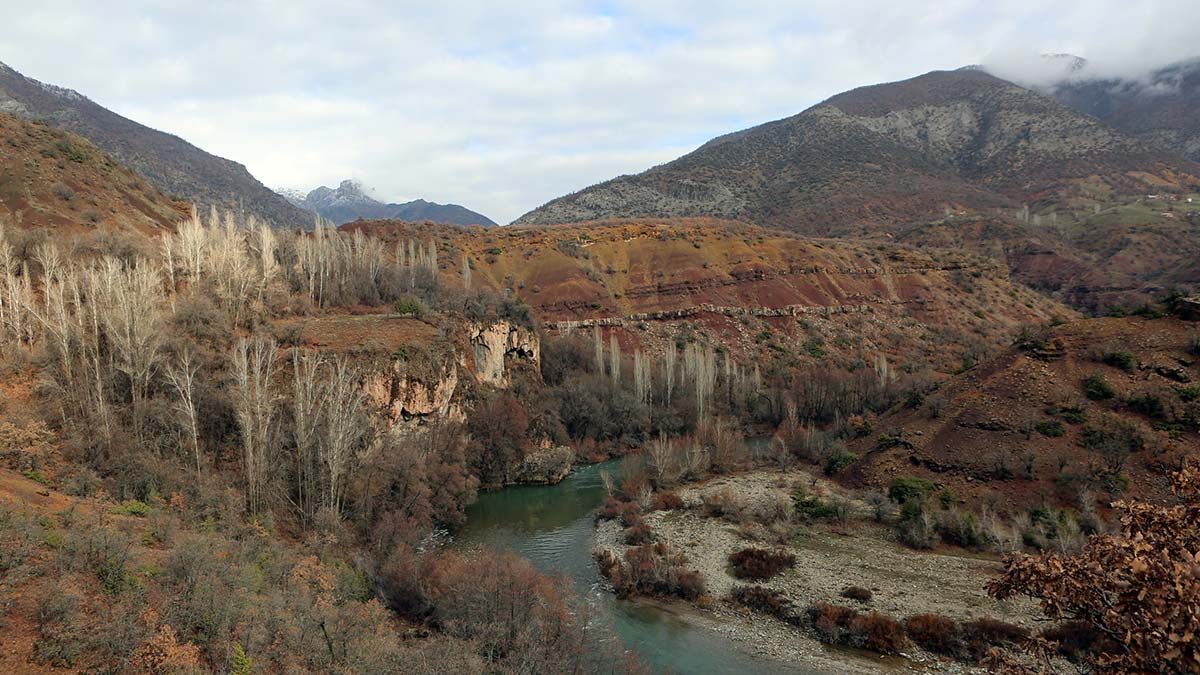 " Dağ keçisi avı için kesinlikle av izni verilmemiştir. Kaçak avcılara karşı en ağır şekilde cezalarımız uygulanmaktadır"
