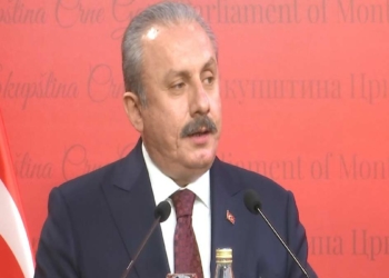 "Türkiye ile Karadağ arasındaki ilişkiler mükemmel"