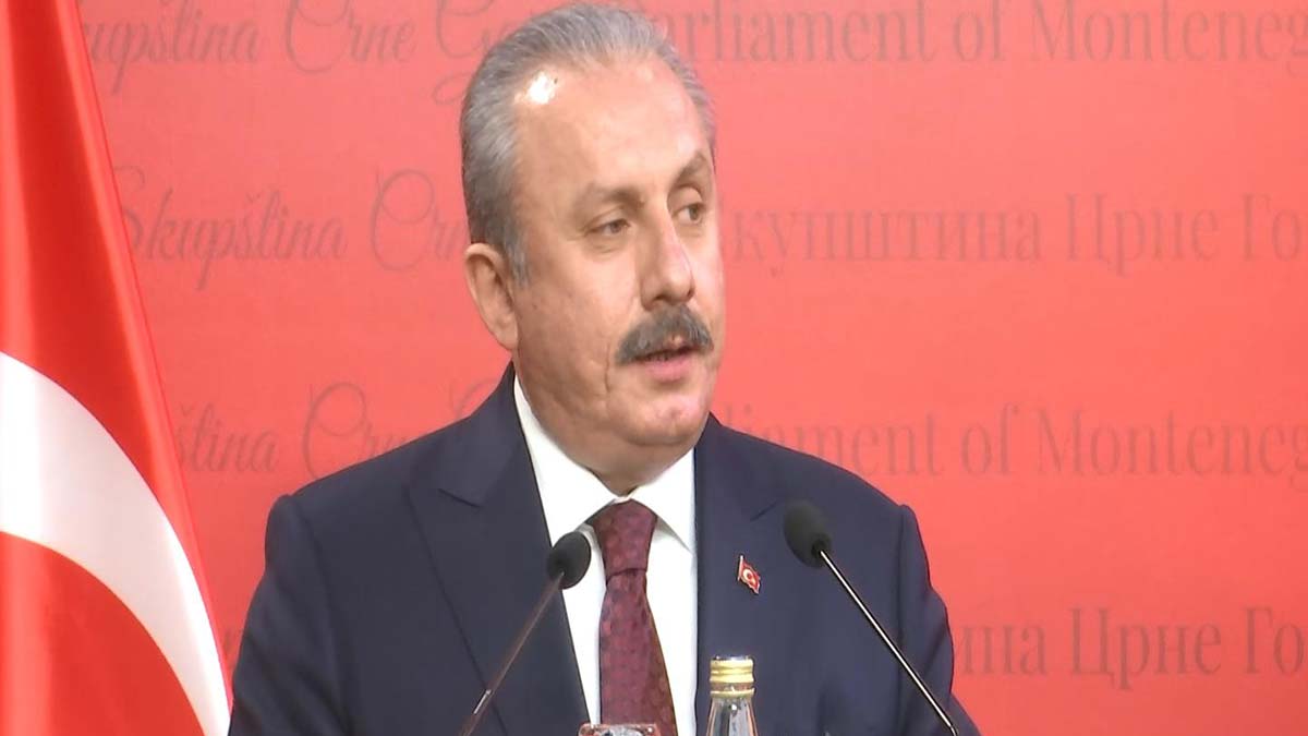 "Türkiye ile Karadağ arasındaki ilişkiler mükemmel"