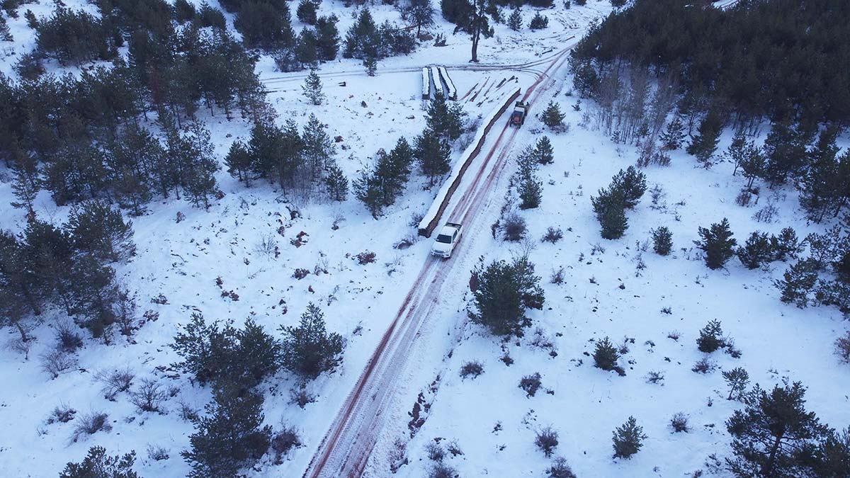 Türkmen Dağı'nda yaban hayvanları için yem bırakıldı