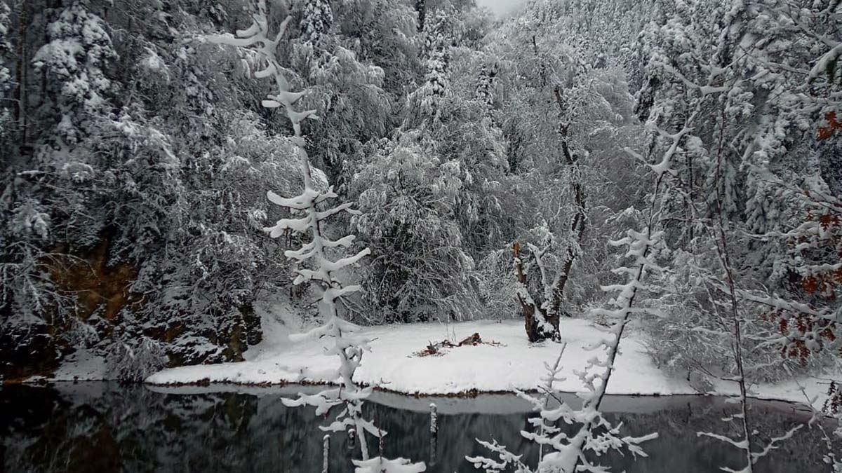 Hüseyin Fırat, tüm müdahalelere rağmen kurtarılamadı, Ferdi Fırat'ın ise tedavisi sürüyor