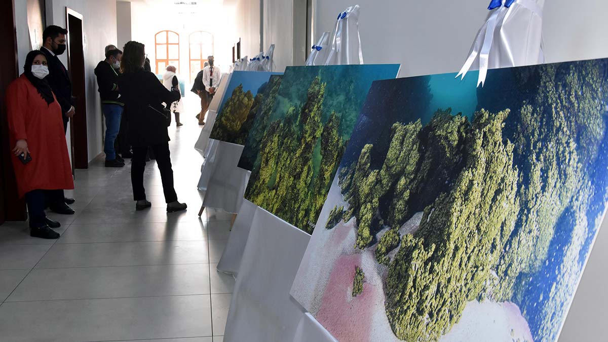 " O makaleler diyor ki; özellikle Adilcevaz yakınlarında boyu 100 metreye yaklaşan mikrobiyalitler var"