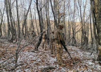 Van'da Eren Kış-12 operasyonu başlatıldı