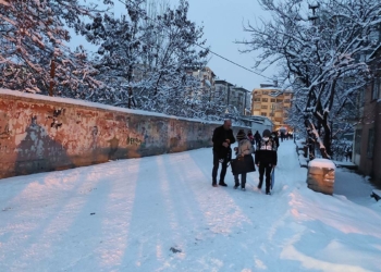 Van'ın 3 ilçesinde taşımalı eğitime kar engeli