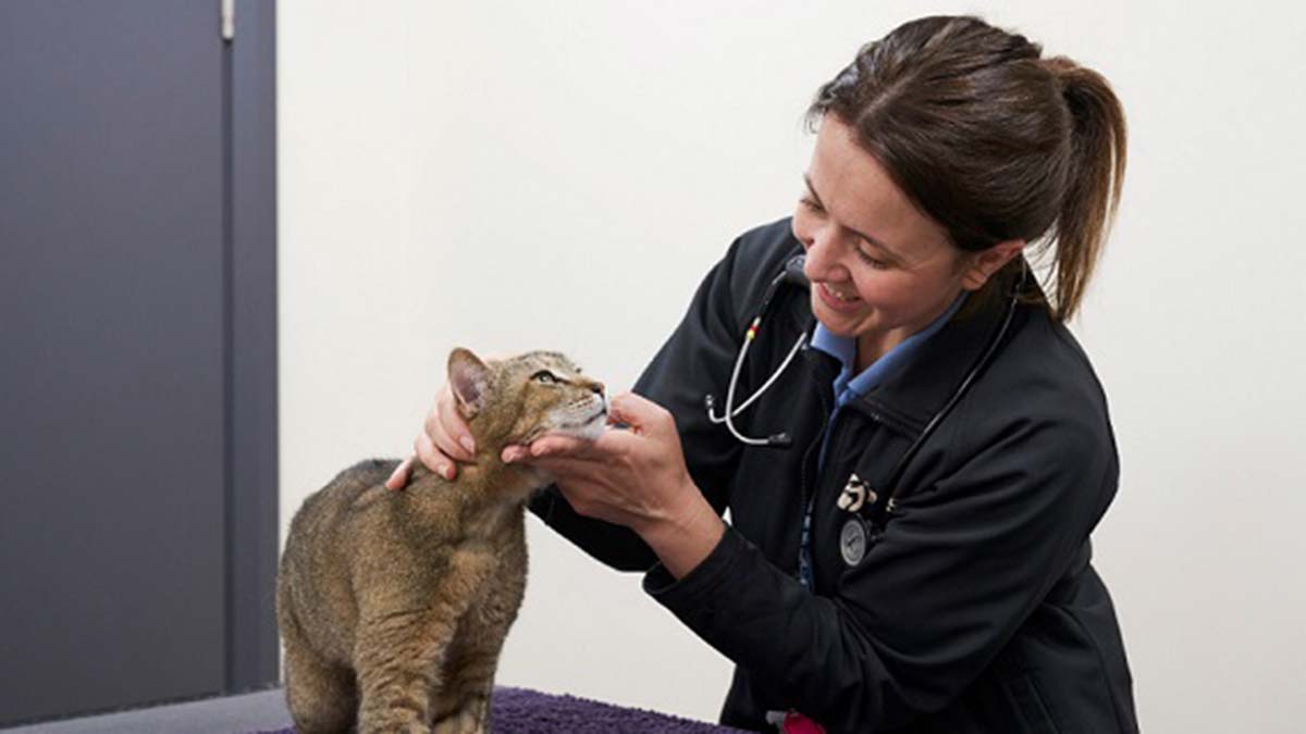 Veteriner hekimlerden ortak çağrı