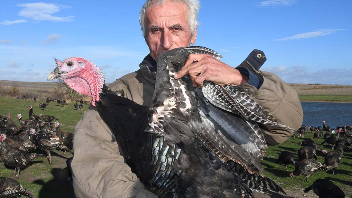 " Fiyat olarak da geçen sene tanesini 250 liradan satıyorduk. Bu sene tanesini 300 liradan satıyoruz"