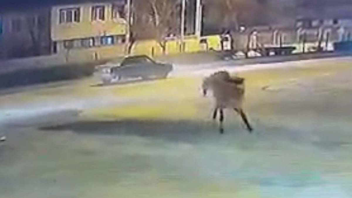 Kaza anı çevredeki bir güvenlik kamerasına yansıdı.