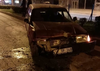 Yola çıkan başıboş at kazaya neden oldu