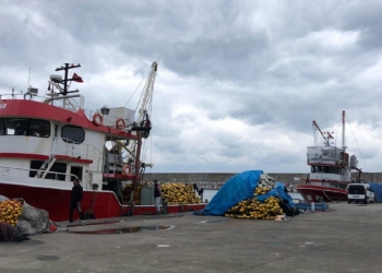 Zonguldak'ta balıkçılar teknelerini limana demirledi