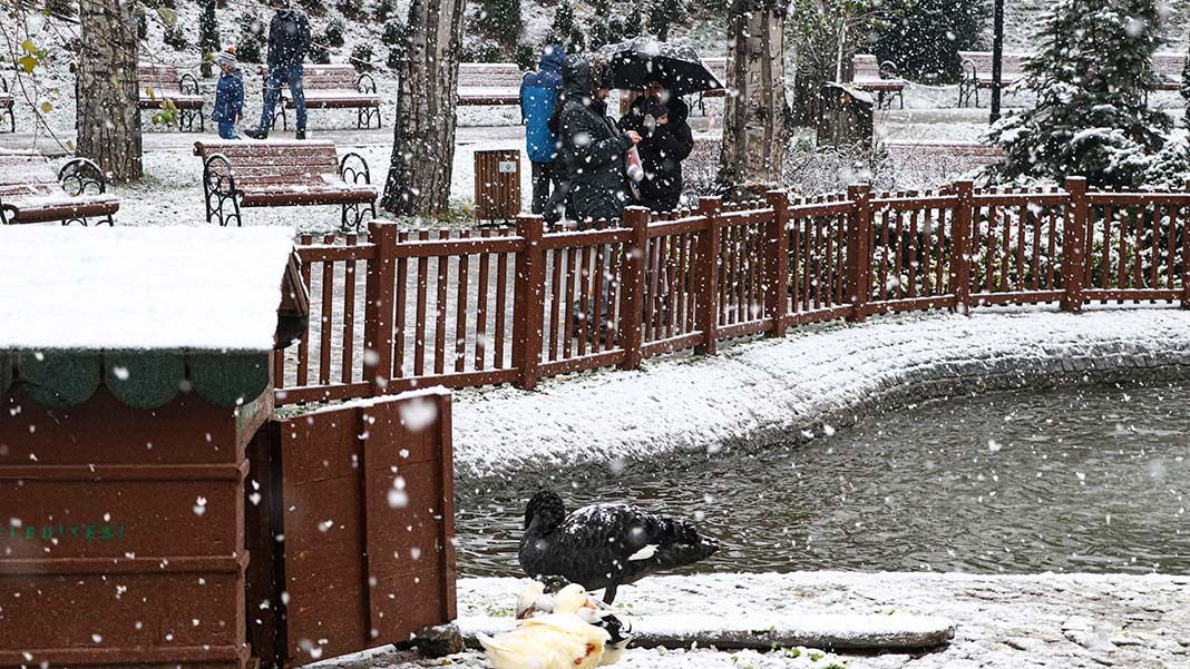 Ankara'da kar yağışı; her yer beyaza büründü