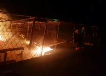 Ankara'da gönüllülerin inşa ettiği barınakta yangın