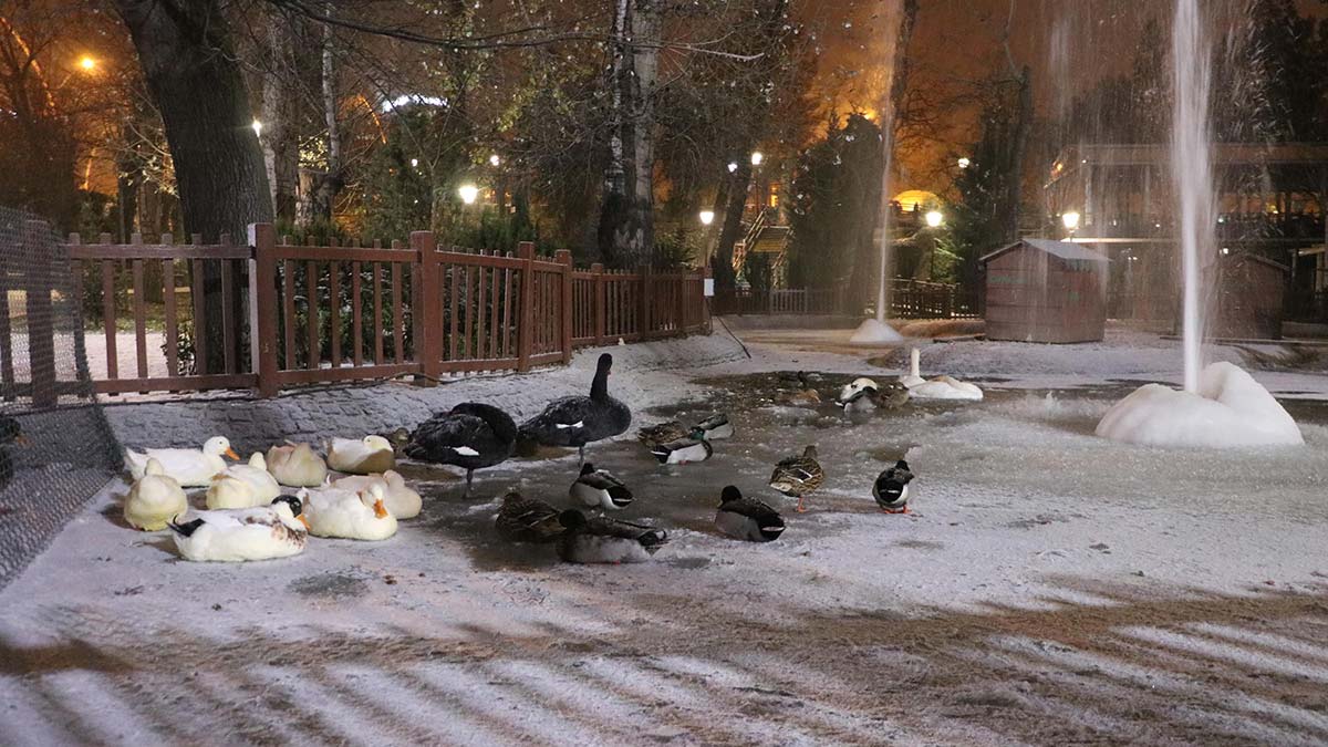 Ankara'da hava sıcaklığı eksi 5 dereceye düştü