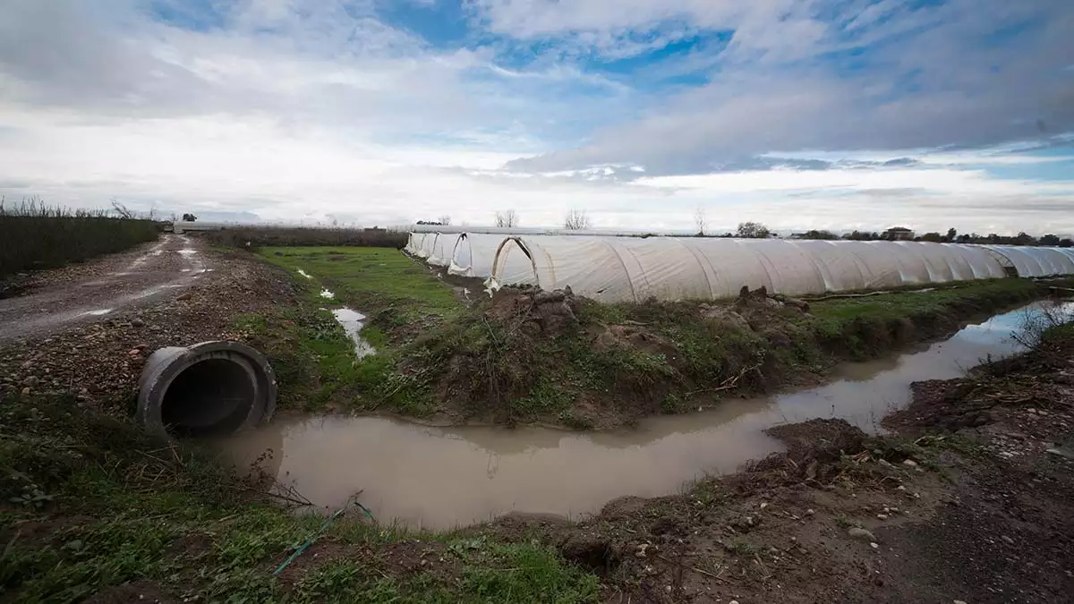 Antalya'da yağmur ve fırtınanın ardından zarar gören tarım alanlarında hasar tespitine başlandı.