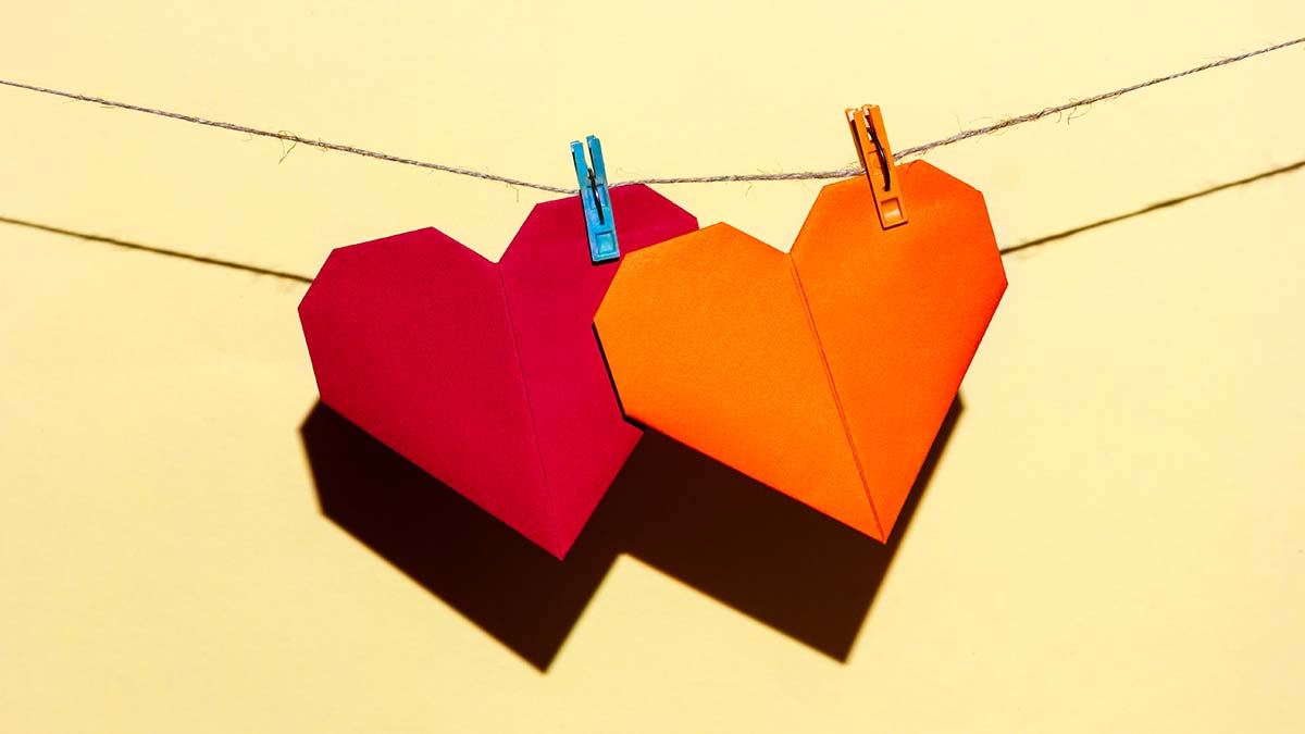 Aşk mı? Sen ancak kendini kandırırsın... Hayatımıza buluğ çağından bu yana artık şimdi kaç yaşındaysanız bilemem, kaç tane "aşkım" dediğiniz insan veya canlı girdi ve onlar nerede?