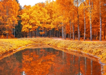 Merhaba sevgili yol arkadaşlarım, bugün size sonbahar bitmeden mutlaka yapmanız gerekenlerden bahsedeceğim.