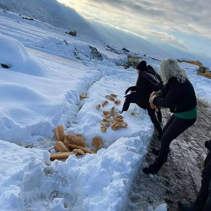 Beyaz ortuyle kaplanan konyada sokak hayvanlari unutulmadi 7062 dhaphoto1 - yaşam - haberton