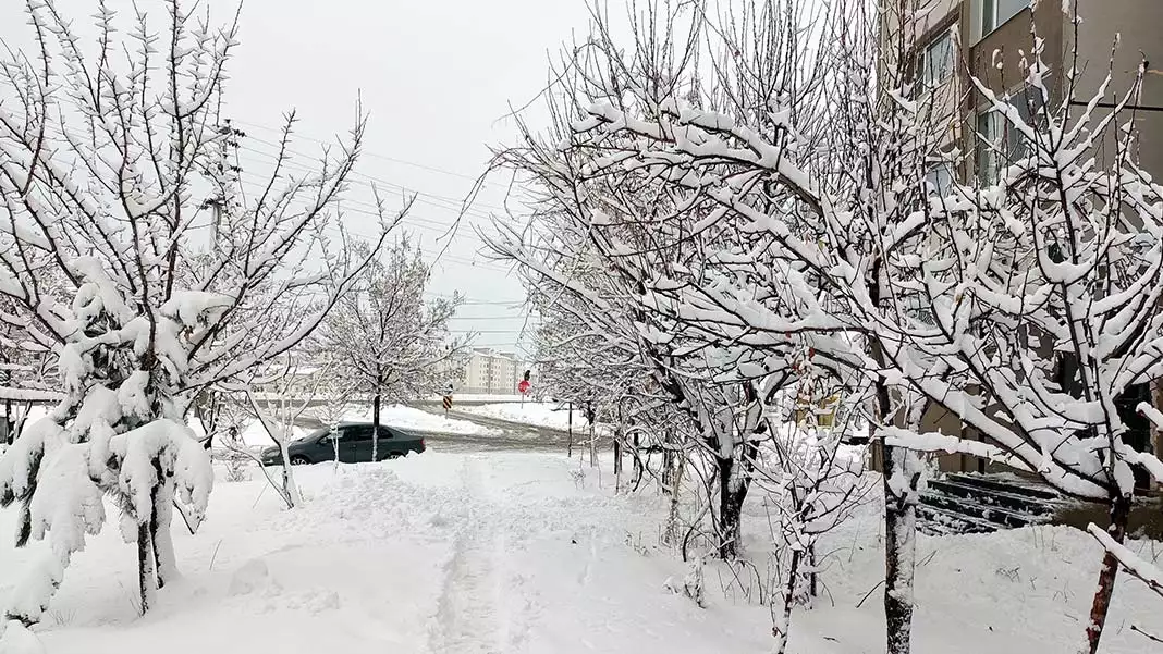 Bitlis'te kar nedeniyle 50 köy yolu kapandı