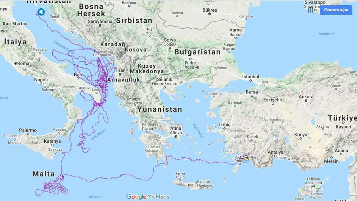 Caretta tuba 15 bin kilometre kat etti