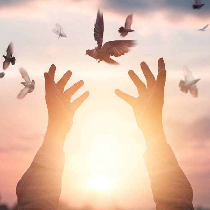 Demokrasi kültürü oluşmalı