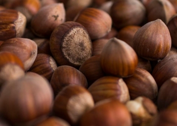 Ferrero Fındık’tan aralık ayı tarımsal uygulama önerileri