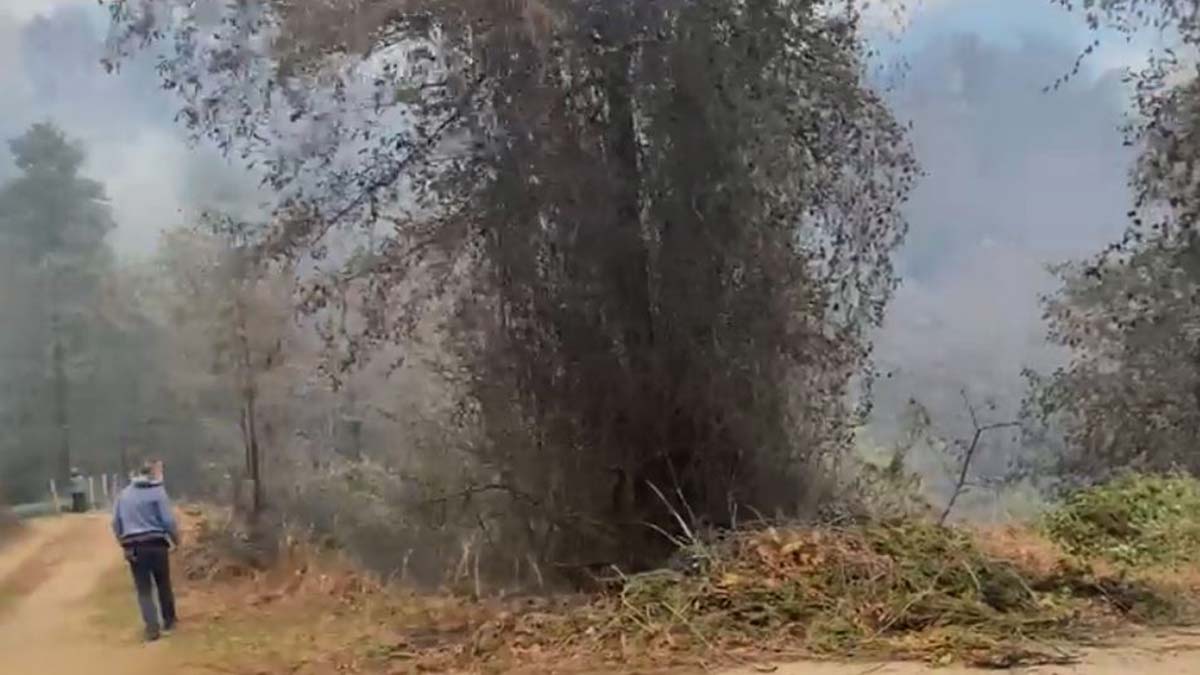 Bölgeye ulaşan ekipler rüzgarın da etkisiyle yayılan alevlere müdahale etti. Alevlerin sıçradığı 2 ev yandı.