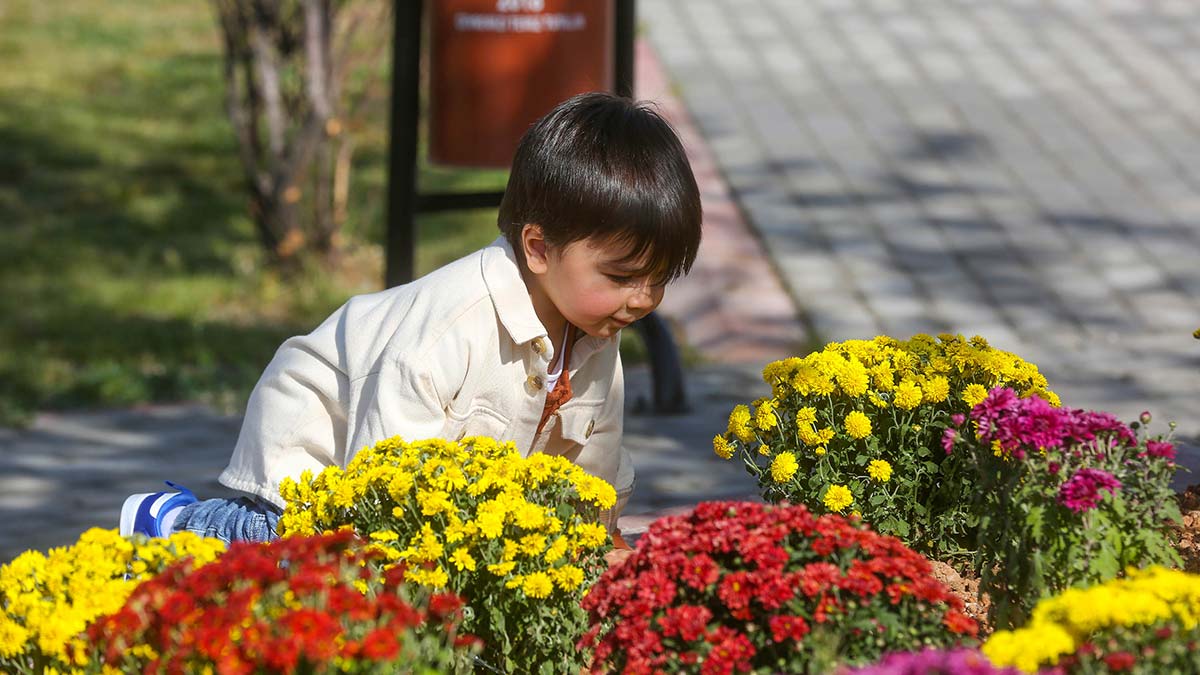 Başkentin oksijen deposu Yenimahalle