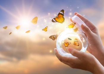 Hayallere giden bu yolda teşekkürler