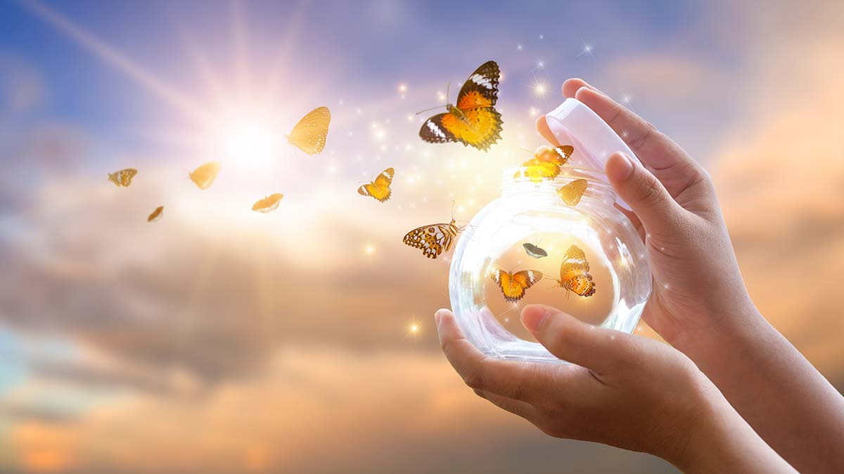 Hayallere giden bu yolda teşekkürler