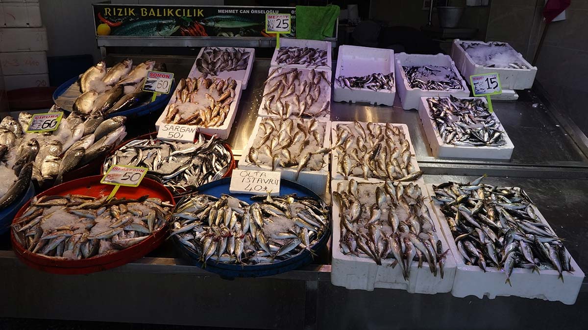 Karadeniz'de hamsi bu sezon erken tükendi