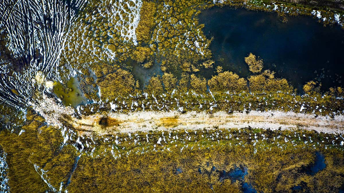 Kaz Gölü'nde tablo gibi manzara