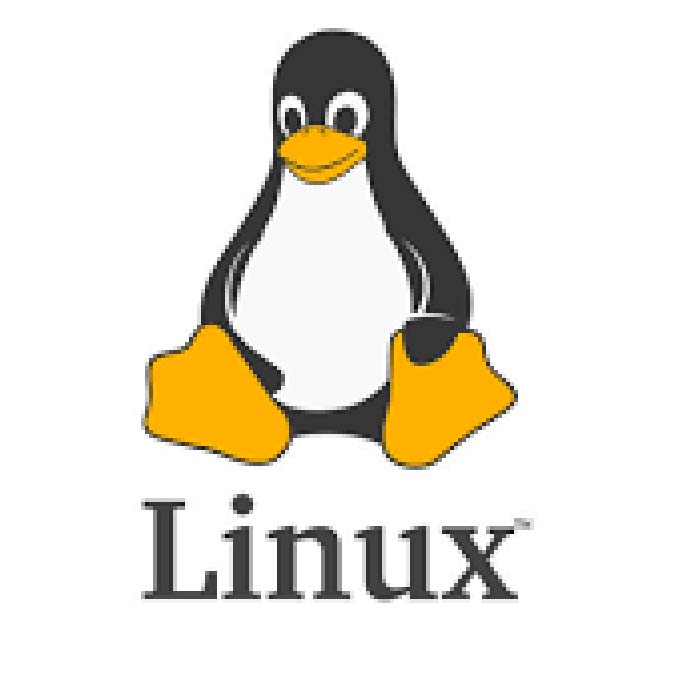 İşletim sisteminin yeni çağı Linux!