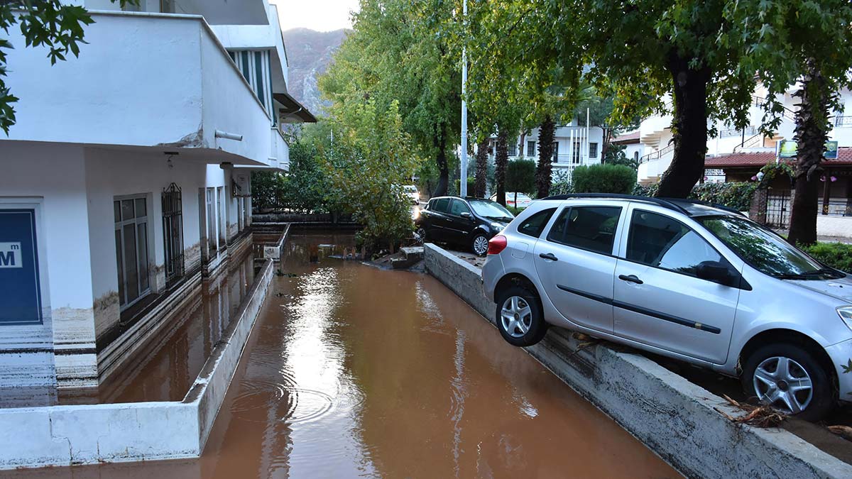 Selin boyutu günün ağarmasıyla ortaya çıktı