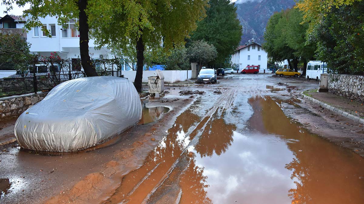 Selin boyutu günün ağarmasıyla ortaya çıktı