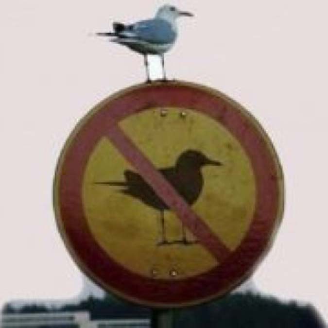 Oksimoron ve çelişkiler üzerine kurulu Paradoks