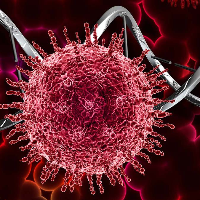 DSÖ, Koronavirüsün tarihçesini paylaştı