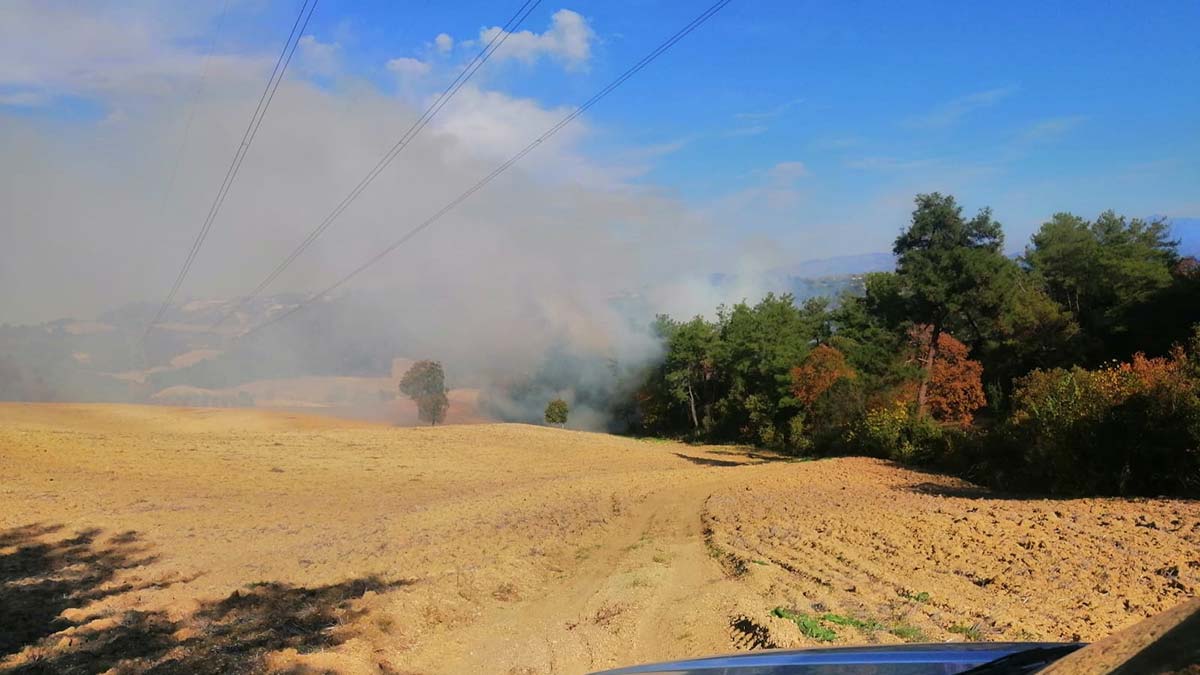 Osmaniye'de orman yangını