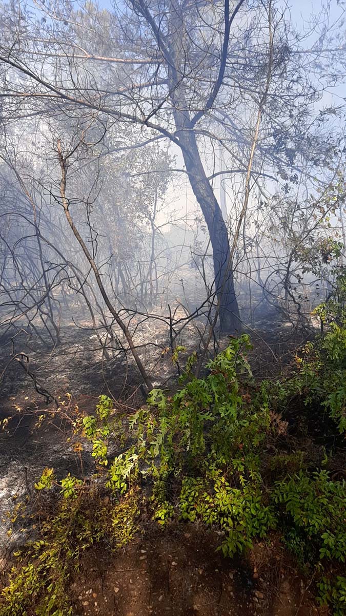 Bölgeye sevk edilen ekipler, alevlere havadan ve karadan müdahale ediyor.