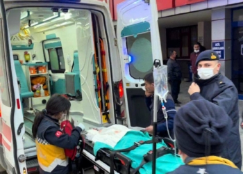 Gaziantep'te Pitbull dehşetinde 6 gözaltı