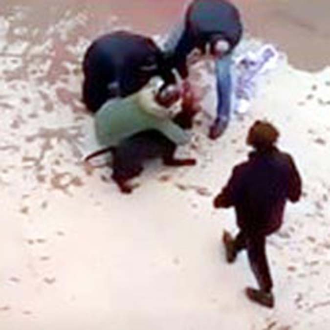 Gaziantep'te Pitbull dehşetinde 6 gözaltı