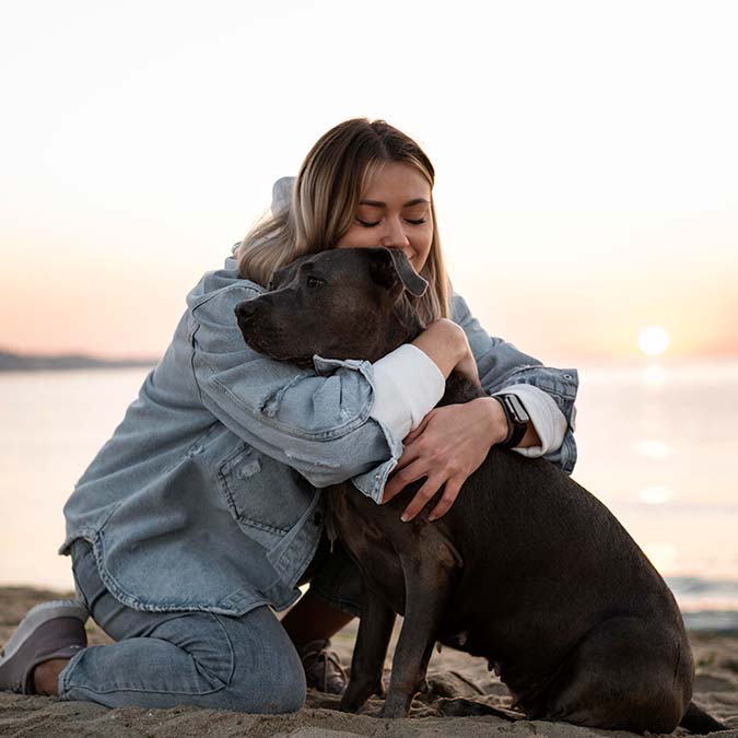 Yargıtay'dan Pitbull kararı