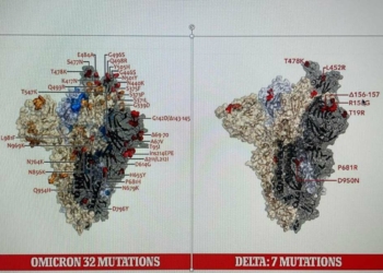 Omikron varyantı 50 farklı mutasyon taşıyor