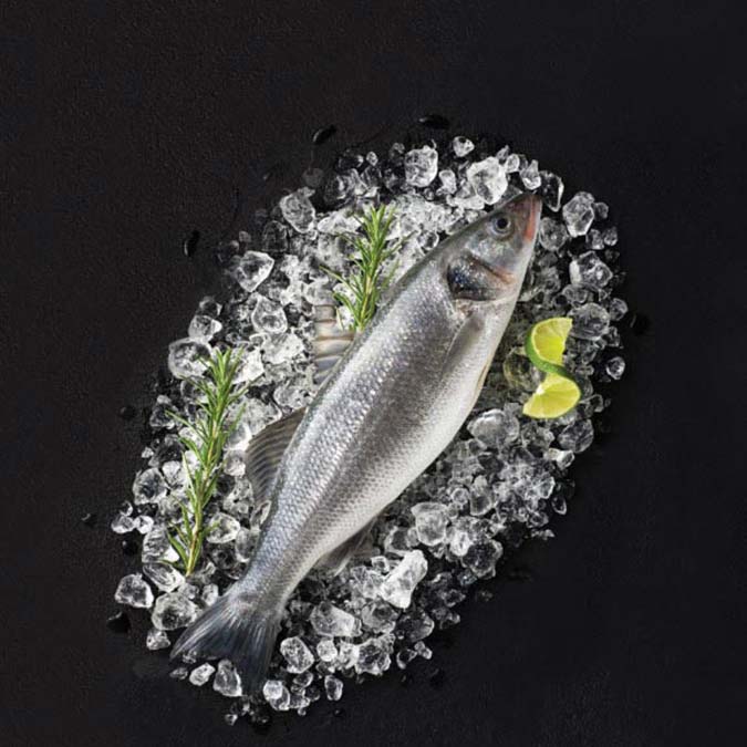 İzmir Katip Çelebi Üniversitesi (İKÇÜ) Su Ürünleri Fakültesi Dekanı Prof. Dr. Tansel Tanrıkul, Balıklardaki hastalıkların insanlara bulaşmadığını belirtti.