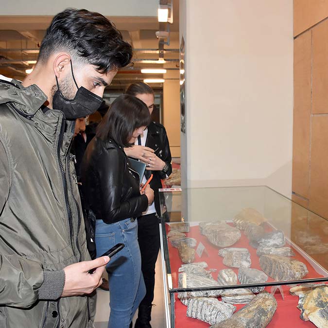 Tekirdağ'da 28 bin yıllık mamut fosilleri sergilendi