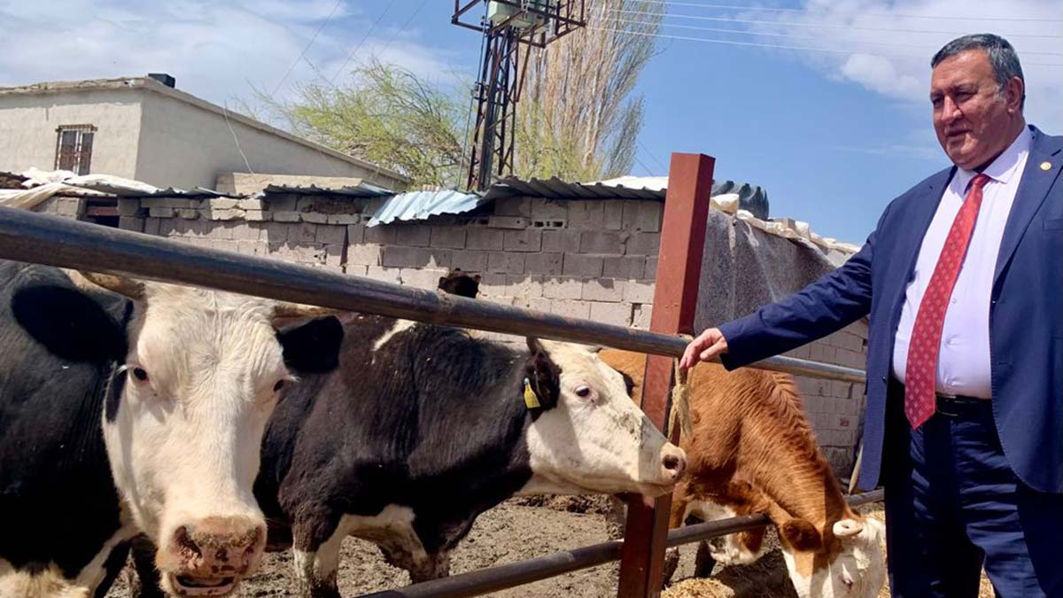 TİGEM hayvancılıkta sınıfta kaldı