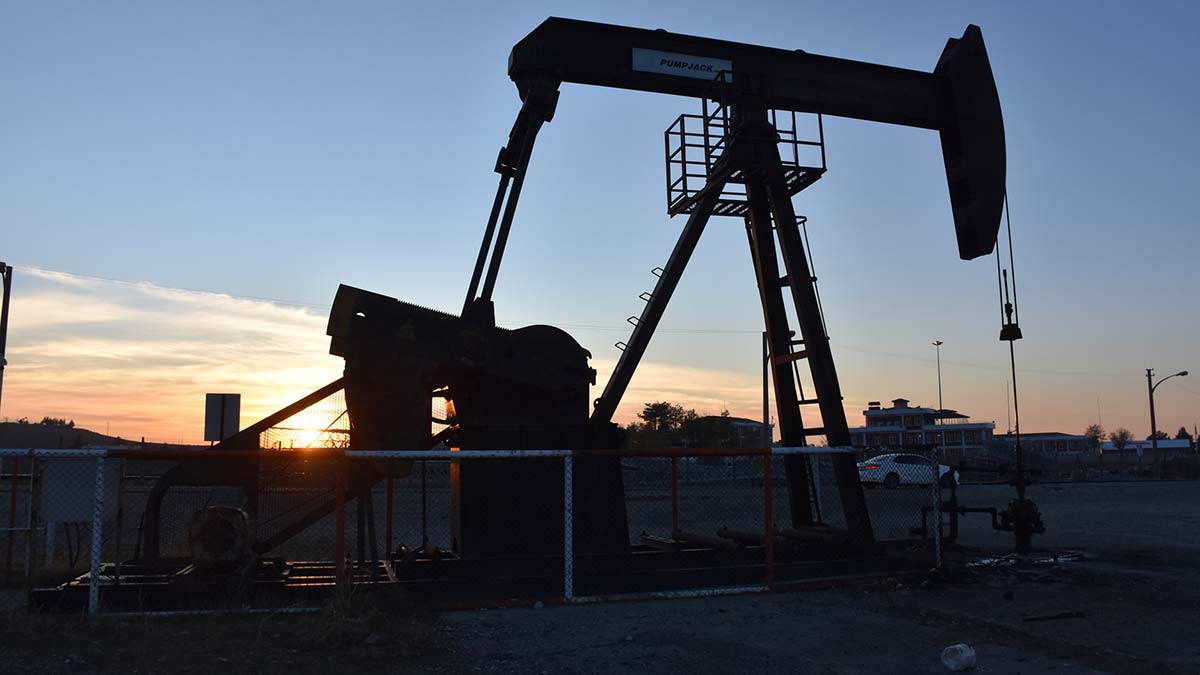 Türkiye Petrolleri Anonim Ortaklığı (TPAO) Genel Müdürü Melih Han Bilgin, "Günlük petrol üretimini 65 bin varile çıkarmayı planlıyoruz" dedi.