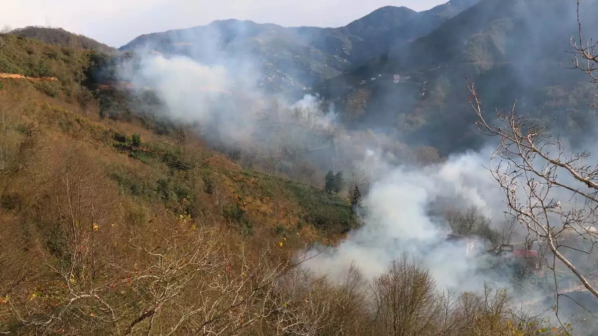 Trabzon’un sürmene ilçesi dirlik mahallesi'nde, 4 noktada orman yangını çıktı. İtfaiye ve orman ekiplerinin alevlere müdahalesi sürüyor.