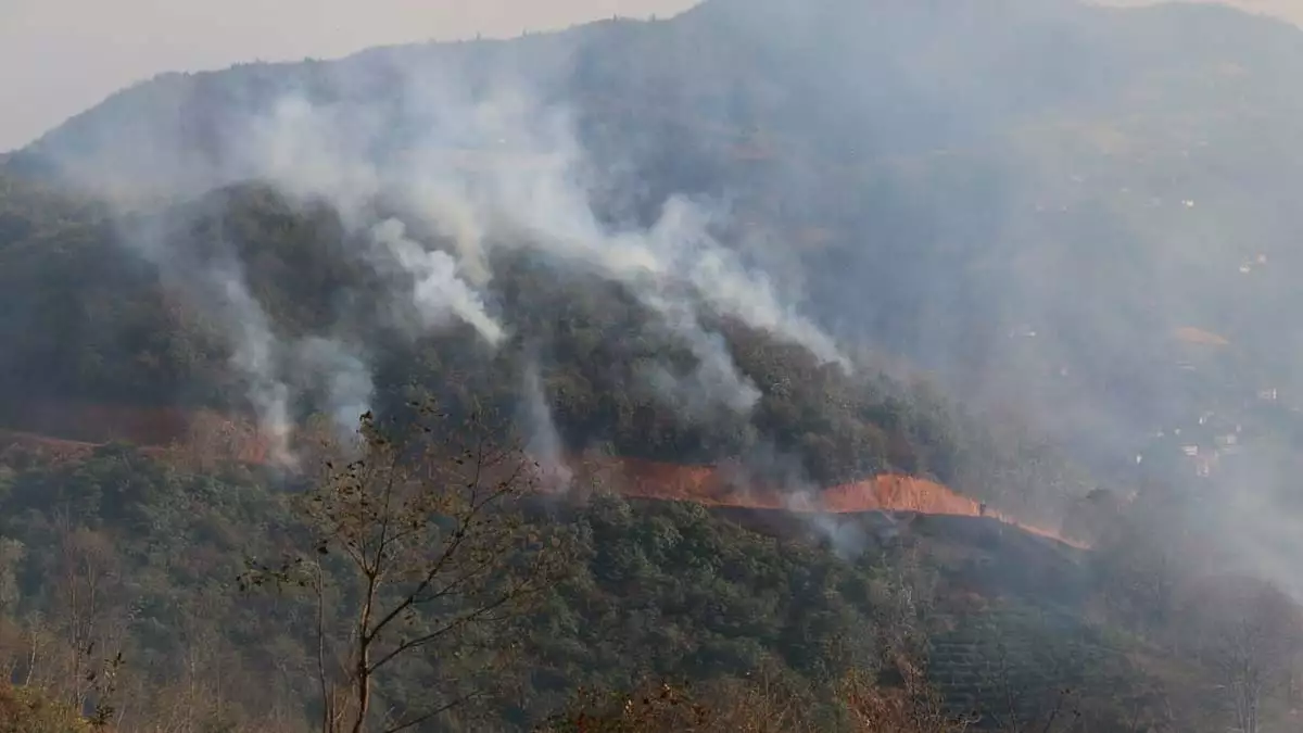 Trabzon'da 4 noktada orman yangını